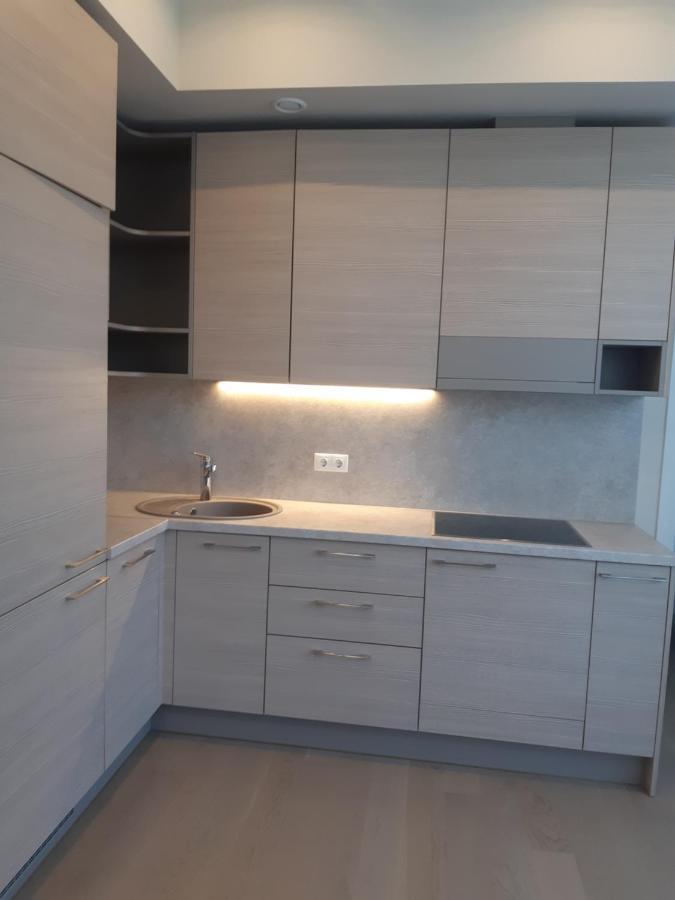 Apartment In Druskininkai City Centre Extérieur photo
