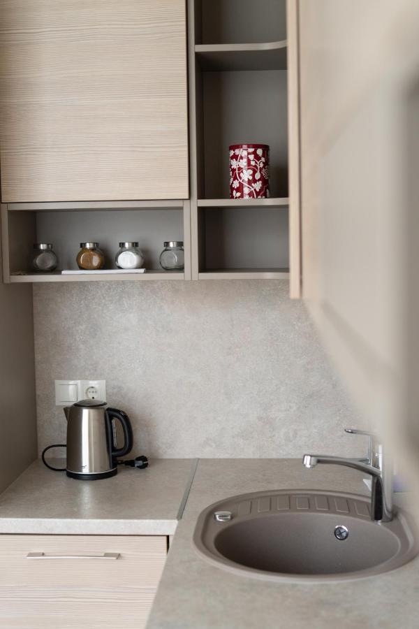 Apartment In Druskininkai City Centre Extérieur photo